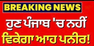 punjab-government-bans-analogue-paneer-production-sale-and-storage |