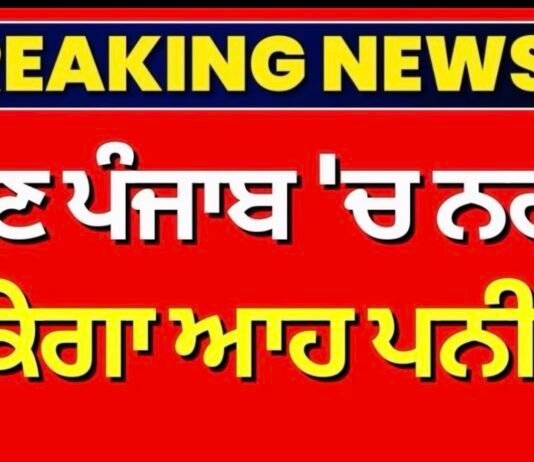 punjab-government-bans-analogue-paneer-production-sale-and-storage |