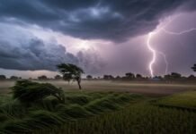 Punjab Weather Alert- ਪੰਜਾਬ ਦੇ 10 ਜਿਲ੍ਹਿਆਂ ਵਿਚ ਭਾਰੀ ਮੀਂਹ ਤੇ ਤੂਫਾਨ ਦਾ ਅਲਰਟ | Punjab Di Taja Khabar