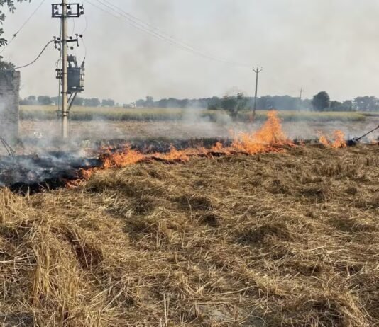 ਪੰਜਾਬ ਵਿੱਚ ਪਰਾਲੀ ਸਾੜਨ ਦੇ 52 ਮਾਮਲੇ ਆਏ ਸਾਹਮਣੇ ; ਇੱਕ FIR ਦਰਜ | ਅਗਨੀਵੀਰਾਂ ਲਈ ਡਬਲ ਖੁਸ਼ਖਬਰੀ, ਨੌਕਰੀਆਂ 'ਚ 20% ਰਾਖਵਾਂਕਰਨ ਦੇ ਨਾਲ ਲਿਖਤੀ ਪ੍ਰੀਖਿਆ ਤੋ