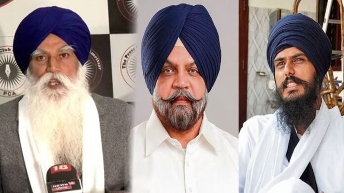 ਪੰਜਾਬ 'ਚ ਕਿੰਨੀ ਤਰ੍ਹਾਂ ਦੇ ਸੱਪ ਪਾਏ ਜਾਂਦੇ ਹਨ? ਜਾਣੋ ਸਭ ਤੋਂ ਜ਼ਹਿਰੀਲੇ ਸੱਪਾਂ ਬਾਰੇ