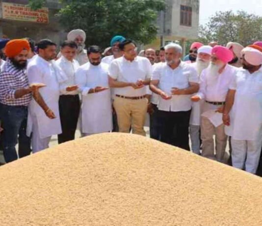 ਕੈਬਨਿਟ ਮੰਤਰੀ ਲਾਲ ਚੰਦ ਕਟਾਰੂਚੱਕ ਨੇ ਫ਼ਰੀਦਕੋਟ ਵਿਖੇ ਝੋਨੇ ਦੇ ਖ਼ਰੀਦ ਪ੍ਰਬੰਧਾਂ ਦਾ ਲਿਆ ਜਾਇਜ਼ਾ | ਵਿਰੋਧੀ ਪਾਰਟੀਆਂ ਪੰਜਾਬ ਨੂੰ ਲੁੱਟਣ ਲਈ ਸੱਤਾ ਹਥਿਆਉਣਾ ਚਾਹੁੰਦੀਆਂ ਹਨ: CM ਮਾਨ