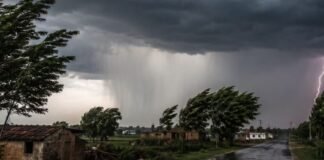 punjab weather update: cool mornings and evenings, rain likely on october 24 and 25 | ਦੀਵਾਲੀ ’ਤੇ ਔਰਤਾਂ ਨੂੰ ਇਥੇ ਮਿਲੇਗਾ ਮੁਫ਼ਤ ਗੈਸ ਸਿਲੰਡਰ? ਕੌਣ ਲੈ ਸਕੇਗਾ ਲਾਭ?