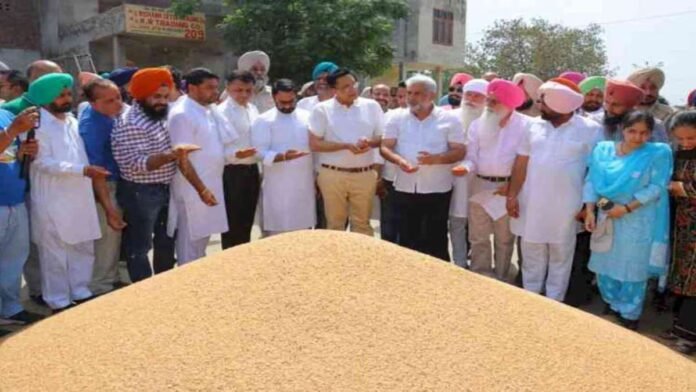 ਨਿਊਜ਼ੀਲੈਂਡ ਦੌਰੇ ਲਈ ਭਾਰਤੀ ਟੀ-20 ਟੀਮ ਦਾ ਐਲਾਨ, ਜਾਣੋ ਕੌਣ ਅੰਦਰ ਅਤੇ ਕੌਣ ਹੋਇਆ ਬਾਹਰ