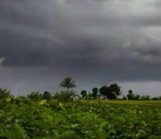 Punjab Weather – ਪੰਜਾਬ ਦੇ 12 ਜਿਲ੍ਹਿਆਂ ਵਿਚ ਅੱਜ ਭਾਰੀ ਮੀਂਹ ਤੇ ਤੂਫਾਨ… |