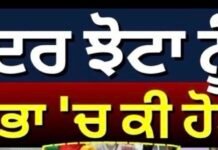 Punjab Vidhan Sabha Session | ਪਰਵਿੰਦਰ ਝੋਟਾ ਨੂੰ ਲੈ ਕੇ ਵਿਧਾਨਸਭਾ ‘ਚ ਕੀ ਹੋਈ ਗੱਲ? | Parminder Jhota |